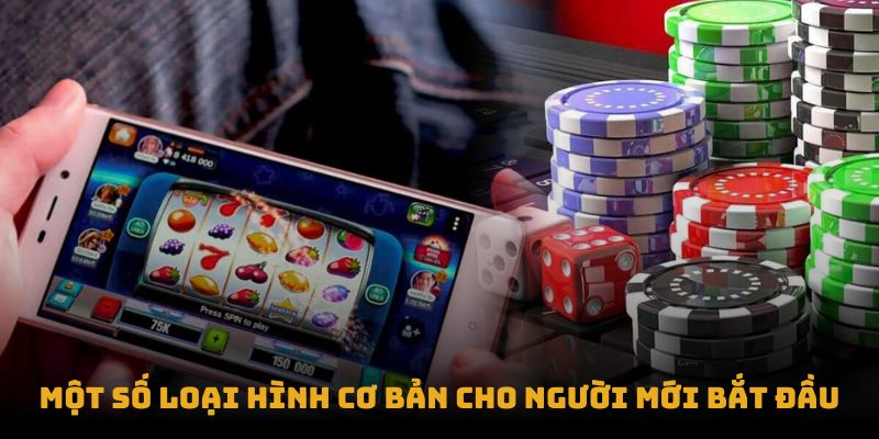 Một số loại hình cơ bản cho người mới bắt đầu