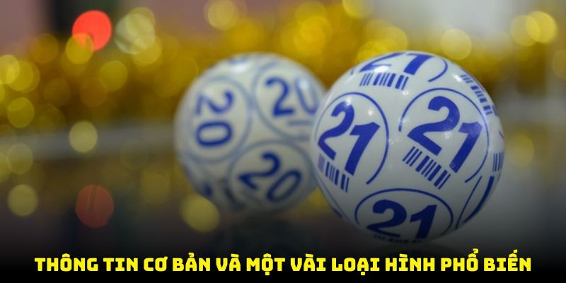 Thông tin cơ bản và một vài loại hình phổ biến