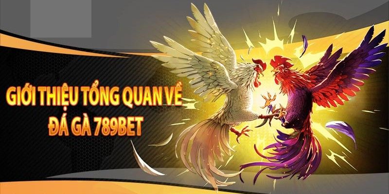 Trang đá gà uy tín 789bet