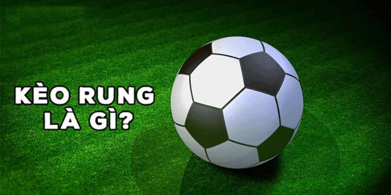 Khái niệm và đặc điểm nổi bật của kèo rung